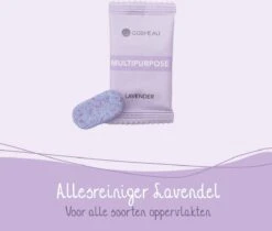 Cosmeau Schoonmaakmiddel Tabletten Cleaning Tabs Schoonmaak Tabs - Keukenreiniger - Badkamerreiniger Sanitair- Glasreiniger -Winkel Voor Schoonmaakartikelen 1200x1020