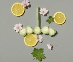 Marcel's Green Soap Toiletblok Geranium & Citroen - 55 Gram -Winkel Voor Schoonmaakartikelen 1200x1023