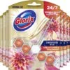 Glorix Aroma Lux Dahlia Flower & Dragonfruit - 9 Toiletblokken - Halfjaarbox - Voordeelverpakking -Winkel Voor Schoonmaakartikelen 1200x1111 2