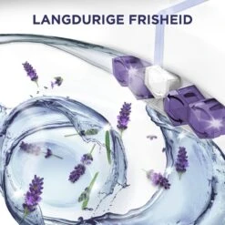 Glorix Power 5 Toiletblokken - Lavendel - 9 Stuks - Voordeelverpakking 6 Glorix Power 5 Toiletblokken - Lavendel - 9 Stuks - Voordeelverpakking -Winkel Voor Schoonmaakartikelen 1200x1200 1003