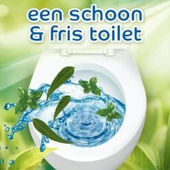 Witte Reus Pro Nature Munt Eucalyptus - 10 Stuks -Winkel Voor Schoonmaakartikelen 1200x1200 1032