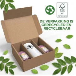 Air Wick Freshmatic Automatische Spray Luchtverfrisser - Ebbenhout & Vanille - 1 Apparaat + 2 Navullingen -Winkel Voor Schoonmaakartikelen 1200x1200 1185