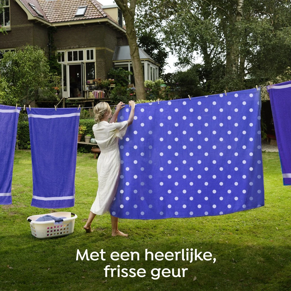 Robijn Specials Stip en Streep Wasverzachter - 8 x 30 wasbeurten - Voordeelverpakking Robijn Specials Stip En Streep Wasverzachter - 8 X 30 Wasbeurten - Voordeelverpakking -Winkel Voor Schoonmaakartikelen 1200x1200 341