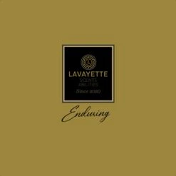 Lavayette Premium Wasparfum - Proefpakket 9x25ml - Geurbooster 8 Lavayette Premium Wasparfum - Proefpakket 9x25ml - Geurbooster -Winkel Voor Schoonmaakartikelen 1200x1200 392