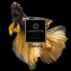 Lavayette Premium Wasparfum - Proefpakket 9x25ml - Geurbooster 9 Lavayette Premium Wasparfum - Proefpakket 9x25ml - Geurbooster -Winkel Voor Schoonmaakartikelen 1200x1200 393