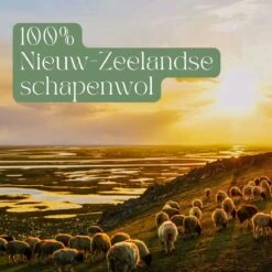 Miki's Goods® XL Wollen Drogerballen 6 Stuks - Panda Wasballen - Duurzaam - Wasbol - 100% Nieuw-Zeelandse Schapenwol - Wasbollen - Herbruikbaar- Droogballen - Snellere Droogtijd - Zuigt Dierenharen Op 7 Miki's Goods® XL Wollen Drogerballen 6 Stuks - Panda Wasballen - Duurzaam - Wasbol - 100% Nieuw-Zeelandse Schapenwol - Wasbollen - Herbruikbaar- Droogballen - Snellere Droogtijd - Zuigt Dierenharen Op -Winkel Voor Schoonmaakartikelen 1200x1200 625