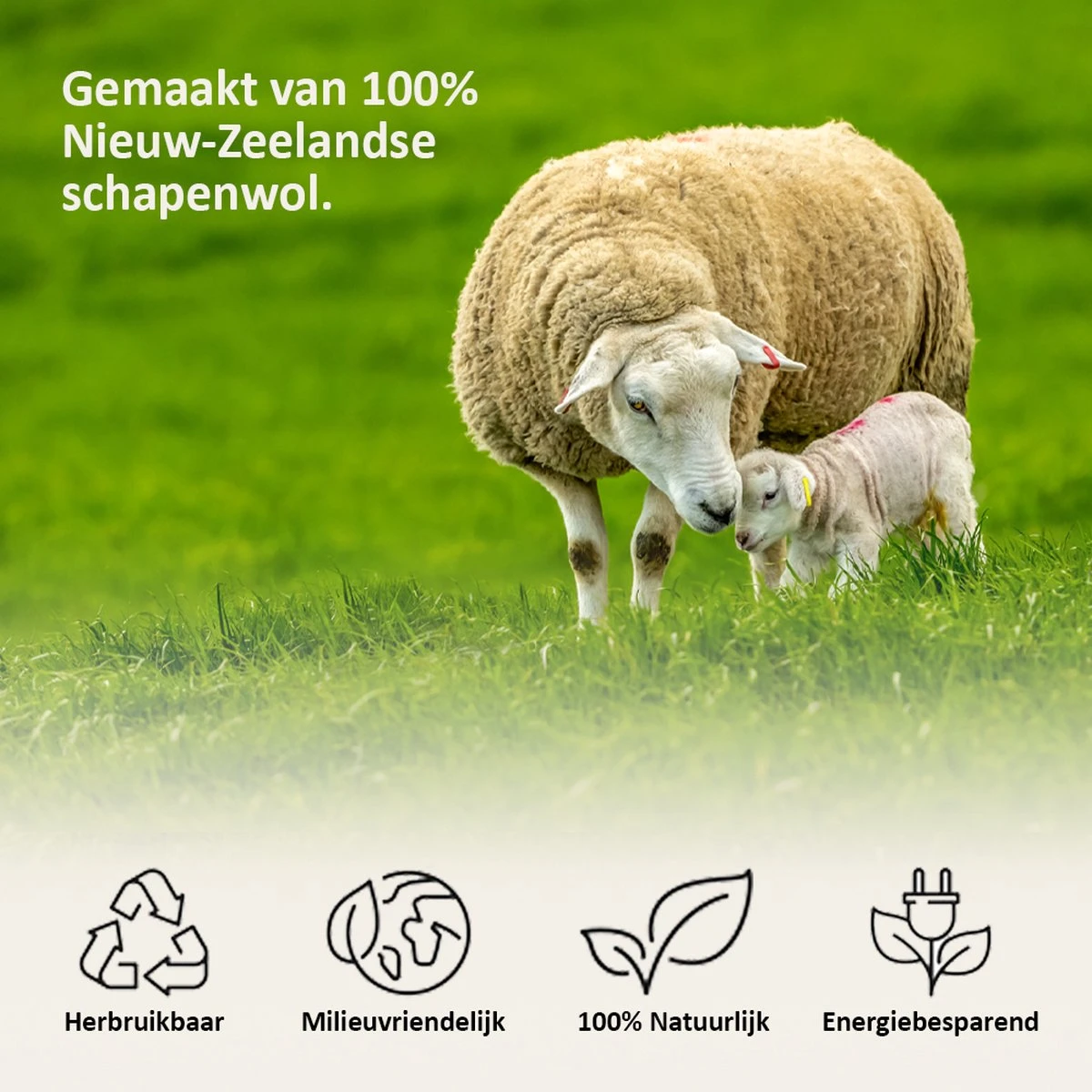 Droger Ballen Wol - Wasdroger Herbruikbare Wollen Droger Ballen - Droogballen Voor Snellere Droogtijd- Set 6 Stuks - Swilix Droger Ballen Wol - Wasdroger Herbruikbare Wollen Droger Ballen - Droogballen Voor Snellere Droogtijd- Set 6 Stuks - Swilix -Winkel Voor Schoonmaakartikelen 1200x1200 651