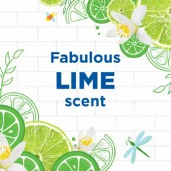 WC Eend Fresh Discs Navul Duo Lime 72 Ml -Winkel Voor Schoonmaakartikelen 1200x1200 997