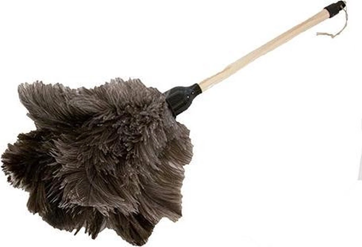 Plumeau struisvogelveren lengte 50 cm Plumeau Struisvogelveren Lengte 50 Cm -Winkel Voor Schoonmaakartikelen 1200x821 1