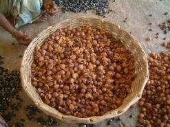 Wasnoten Start 150gr Met Waszakje - Zeepnoten - Natuurlijk Wassen -Winkel Voor Schoonmaakartikelen 1200x900