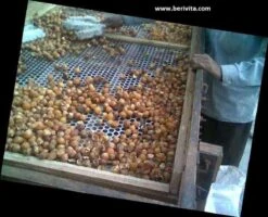 Wasnoten Start 150gr Met Waszakje - Zeepnoten - Natuurlijk Wassen -Winkel Voor Schoonmaakartikelen 1200x973