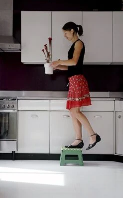 PUHLMANN - Inklapbare Kruk, JAMES, Plastic, Groen, 22 Cm Hoog, Max 100kilo 7 PUHLMANN - Inklapbare Kruk, JAMES, Plastic, Groen, 22 Cm Hoog, Max 100kilo -Winkel Voor Schoonmaakartikelen 746x1200 4