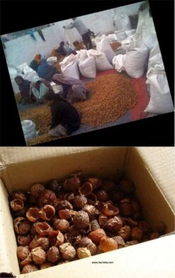 Wasnoten Start 150gr Met Waszakje - Zeepnoten - Natuurlijk Wassen -Winkel Voor Schoonmaakartikelen 755x1200